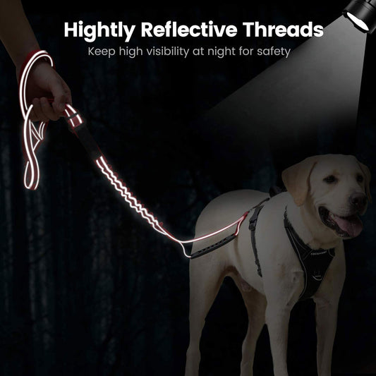 Reflective Heavy-Duty Dog Leash